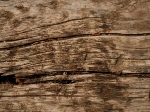Close-up of a rustic weathered wooden surface with natural cracks and textures.